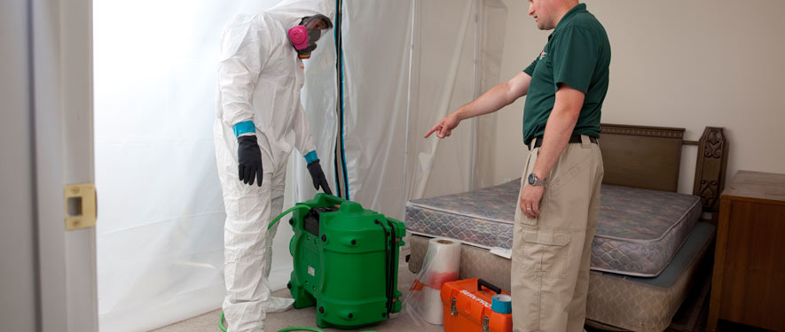 Gaylord, MI mold removal process